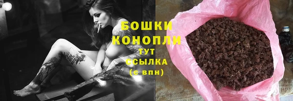 хмурый Пересвет