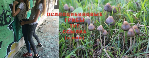 стафф Балахна