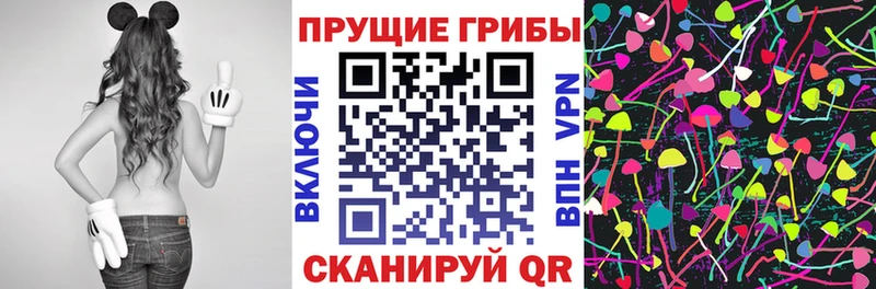 где купить наркоту  Красный Кут  Псилоцибиновые грибы Psilocybe 