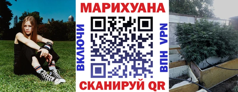 Конопля сатива  Красный Кут 